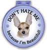 Don't Hate Me... Chihuahua thumbnail