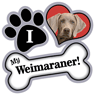 Weimaraner thumbnail
