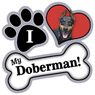 Doberman thumbnail