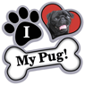 Pug (black) thumbnail