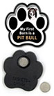 First Born...Pit Bull thumbnail