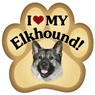 Norweigan Elkhound thumbnail