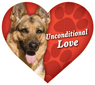Unconditional Love - German Shepherd thumbnail