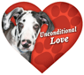 Unconditional Love - Great Dane thumbnail