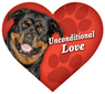 Unconditional Love - Rottweiler thumbnail