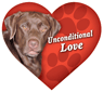 Unconditional Love - Lab (chocolate) thumbnail
