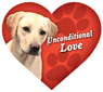 Unconditional Love - Lab (yellow) thumbnail