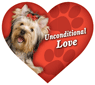 Unconditional Love - Yorkie thumbnail