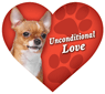 Unconditional Love - Chihuahua thumbnail