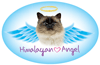 Pet Angel-Himilayan thumbnail