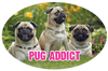 Pug Addict thumbnail
