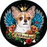 Chihuahua thumbnail