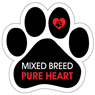 Mixed Breed, Pure Heart thumbnail