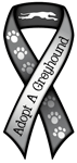 Greyound (adopt) thumbnail