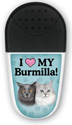 Burmilla thumbnail