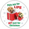 Pets are for Life...not just for Christmas thumbnail