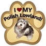 Polish Lowland Sheepdog thumbnail