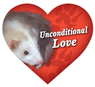 Unconditional Love - Ferret thumbnail