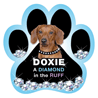 Diamond in the Ruff-Doxie thumbnail