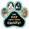 One Cat away from Crazy thumbnail