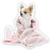 Chihuahua with Towel thumbnail