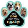 One DOG away from Crazy! thumbnail