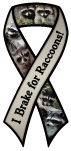 I brake for Raccoons thumbnail