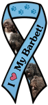 Barbet thumbnail