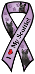 Scottie thumbnail