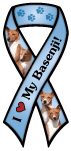 Basenji thumbnail