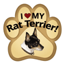 Rat Terrier thumbnail