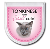 Tonkinese are "sew" cute! 	 thumbnail