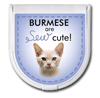 Burmese are "sew" cute! 	 thumbnail