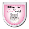 Burmillas are "sew" cute! thumbnail