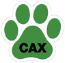 Coursing - CAX thumbnail