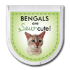 Bengals are "sew" cute! thumbnail