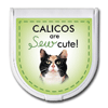 Calicos are "sew" cute! thumbnail