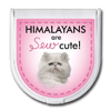 Himalayans are "sew" cute! thumbnail