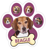 Beagle (purple) thumbnail