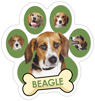 Beagle (green) thumbnail