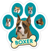 Boxer (teal) thumbnail