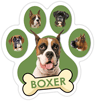 Boxer (green) thumbnail