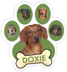 Doxie (green) thumbnail