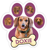 Doxie (purple) thumbnail