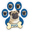Pug (blue) thumbnail