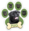 Pug (green) thumbnail