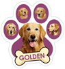 Golden (purple) thumbnail