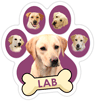 Lab (purple) thumbnail