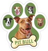 Pit Bull (green) thumbnail