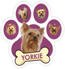 Yorkie (purple) thumbnail